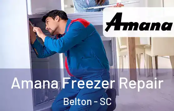  Amana Freezer Repair Belton - SC