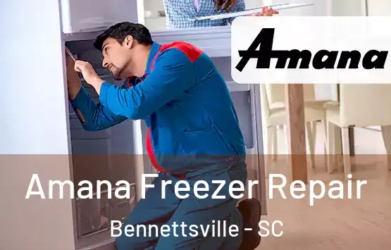  Amana Freezer Repair Bennettsville - SC