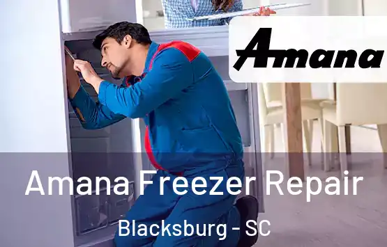  Amana Freezer Repair Blacksburg - SC