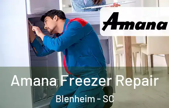  Amana Freezer Repair Blenheim - SC
