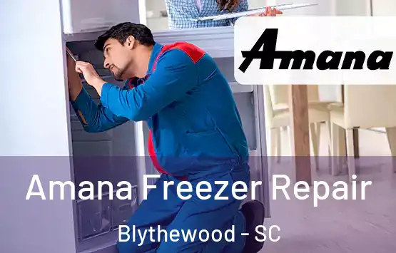  Amana Freezer Repair Blythewood - SC