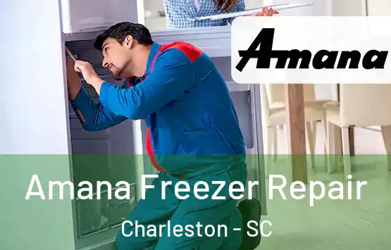  Amana Freezer Repair Charleston - SC