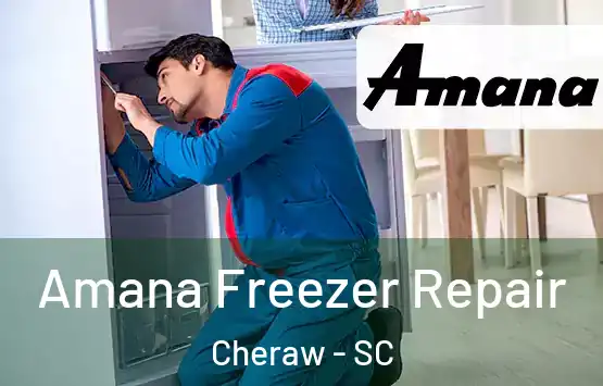  Amana Freezer Repair Cheraw - SC