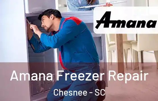  Amana Freezer Repair Chesnee - SC
