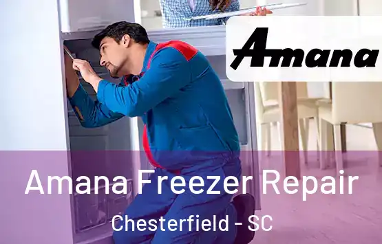  Amana Freezer Repair Chesterfield - SC