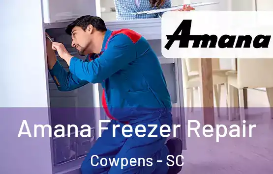  Amana Freezer Repair Cowpens - SC