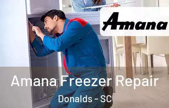 Amana Freezer Repair Donalds - SC