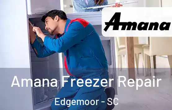  Amana Freezer Repair Edgemoor - SC