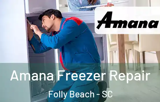  Amana Freezer Repair Folly Beach - SC