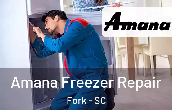  Amana Freezer Repair Fork - SC