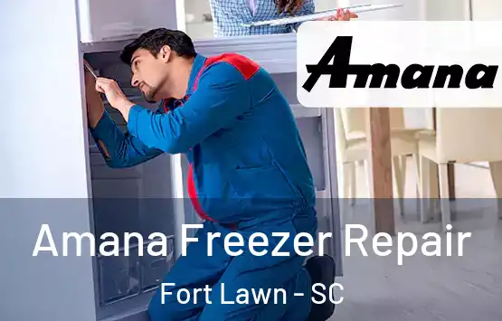  Amana Freezer Repair Fort Lawn - SC