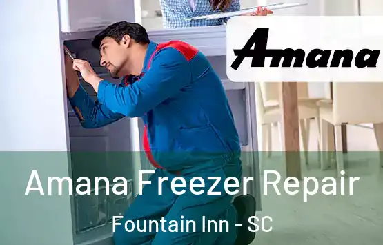  Amana Freezer Repair Fountain Inn - SC