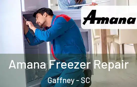  Amana Freezer Repair Gaffney - SC
