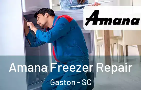  Amana Freezer Repair Gaston - SC
