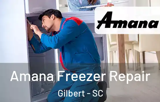  Amana Freezer Repair Gilbert - SC