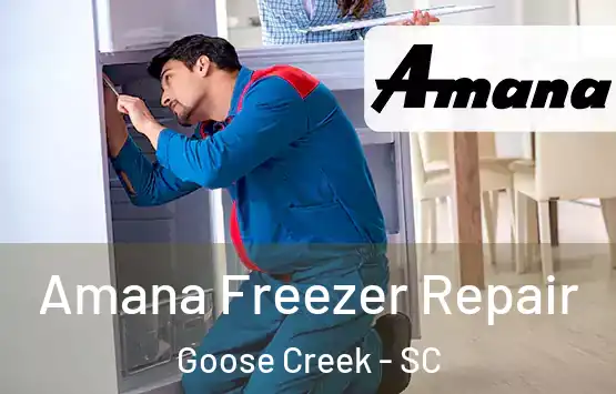  Amana Freezer Repair Goose Creek - SC