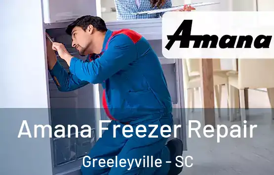  Amana Freezer Repair Greeleyville - SC