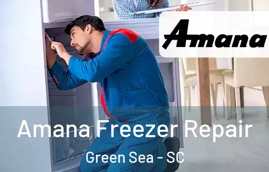  Amana Freezer Repair Green Sea - SC