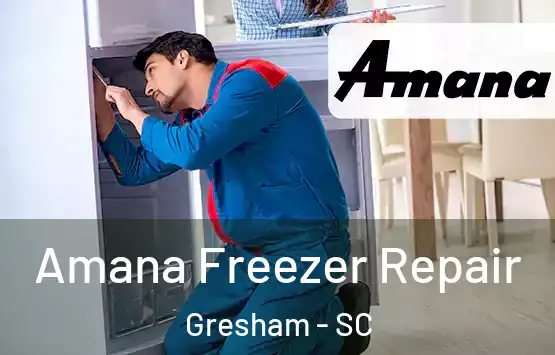  Amana Freezer Repair Gresham - SC