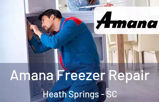  Amana Freezer Repair Heath Springs - SC