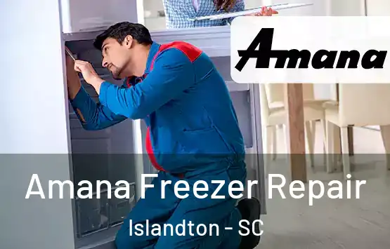  Amana Freezer Repair Islandton - SC