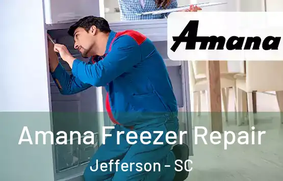 Amana Freezer Repair Jefferson - SC