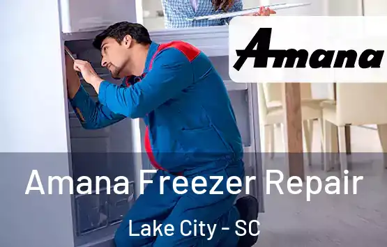  Amana Freezer Repair Lake City - SC