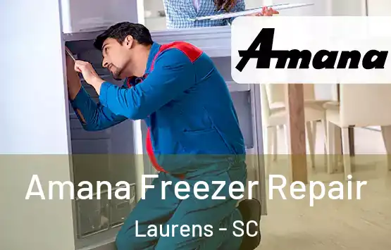  Amana Freezer Repair Laurens - SC