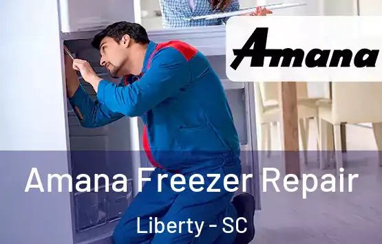  Amana Freezer Repair Liberty - SC