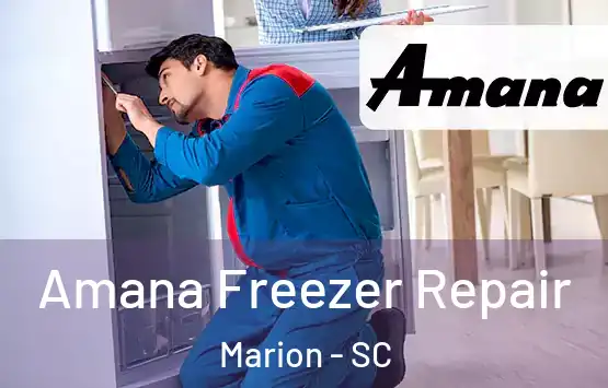  Amana Freezer Repair Marion - SC
