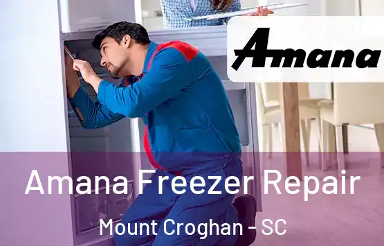  Amana Freezer Repair Mount Croghan - SC