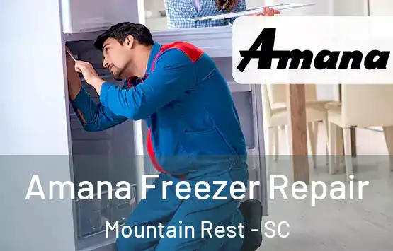  Amana Freezer Repair Mountain Rest - SC