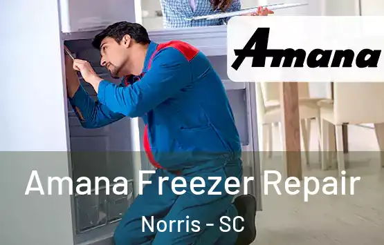  Amana Freezer Repair Norris - SC