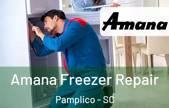  Amana Freezer Repair Pamplico - SC