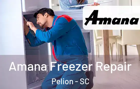  Amana Freezer Repair Pelion - SC