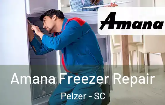 Amana Freezer Repair Pelzer - SC