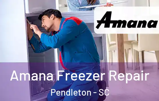  Amana Freezer Repair Pendleton - SC