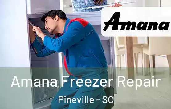  Amana Freezer Repair Pineville - SC