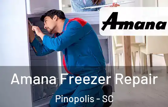  Amana Freezer Repair Pinopolis - SC