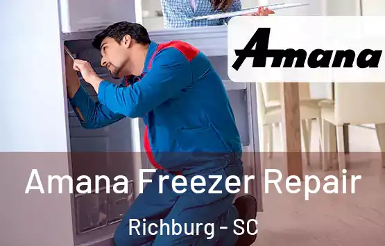 Amana Freezer Repair Richburg - SC