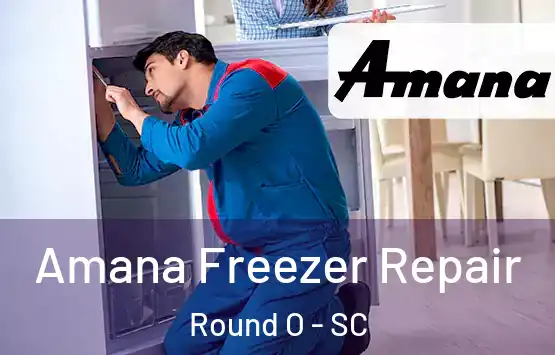 Amana Freezer Repair Round O - SC