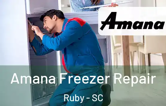  Amana Freezer Repair Ruby - SC
