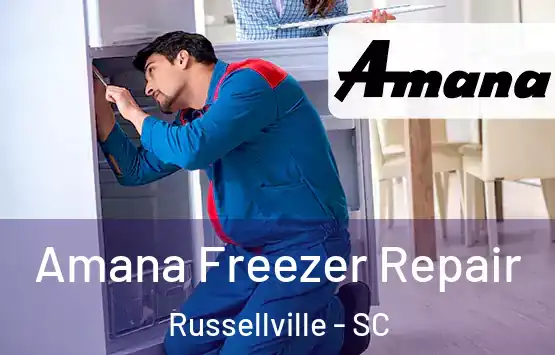 Amana Freezer Repair Russellville - SC