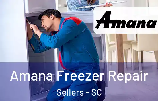  Amana Freezer Repair Sellers - SC