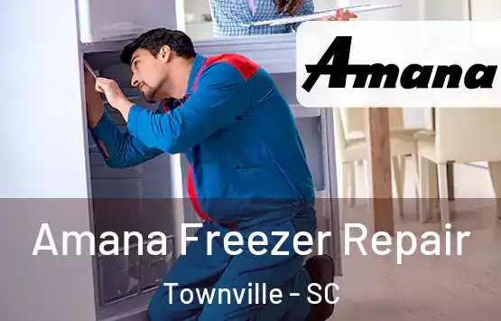  Amana Freezer Repair Townville - SC