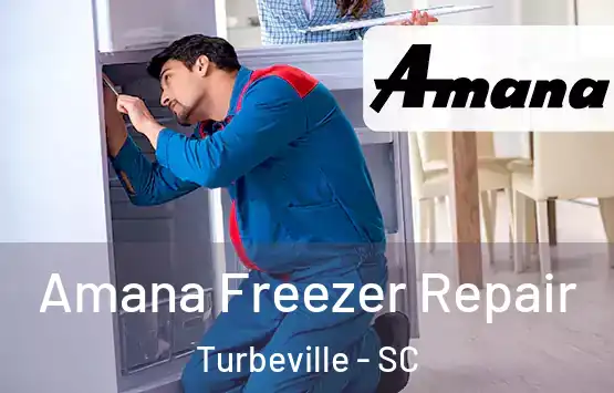  Amana Freezer Repair Turbeville - SC