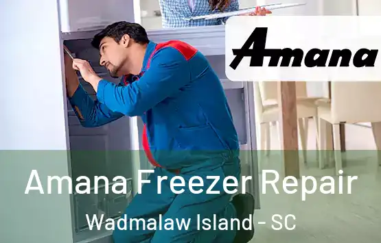  Amana Freezer Repair Wadmalaw Island - SC