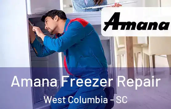  Amana Freezer Repair West Columbia - SC