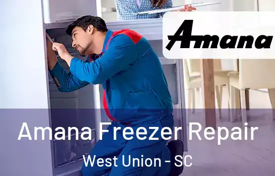  Amana Freezer Repair West Union - SC
