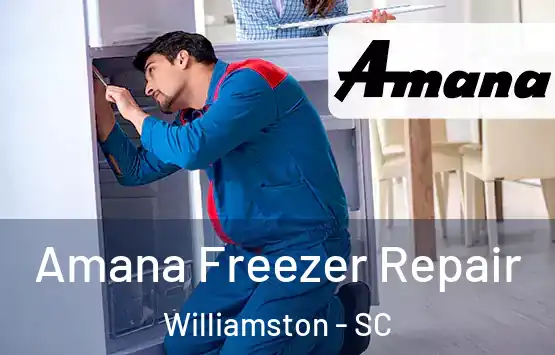  Amana Freezer Repair Williamston - SC